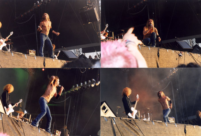 Der Meister in Aktion